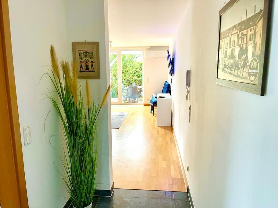 Schoene Wohnung Mit Eigenen Eingang Und Terrasse Gosseling Экстерьер фото